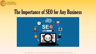 The Importance of SEO for Any Business
