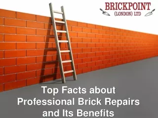 Top Facts about Professional Brick Repairs and Its Benefits