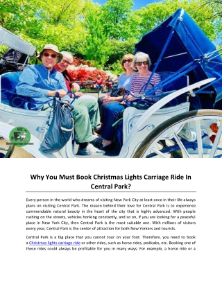 Why You Must Book Christmas Lights Carriage Ride In Central Park