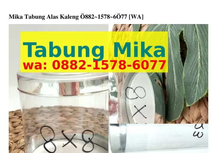 mika tabung alas kaleng 882 1578 6 77 wa