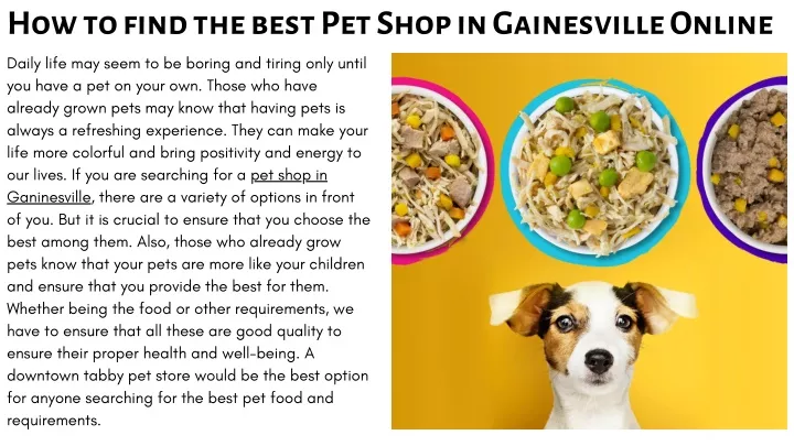 how to find the best pet shop in gainesville