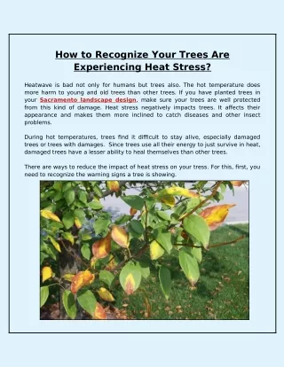 how to recognize your trees are experiencing heat