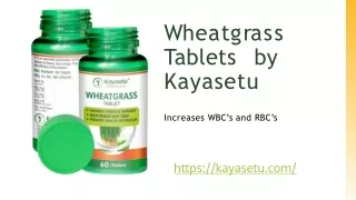 w h e a t g r a s s tablets by kayasetu