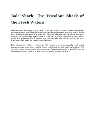 Bala Shark: The Tricolour Shark of the Fresh Waters