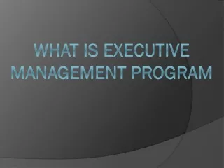 What Is Executive Management Program