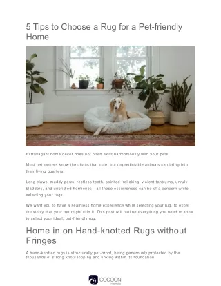5 Tips to Choose a Rug for a Pet-friendly Home | Cocoon Fine Rugs