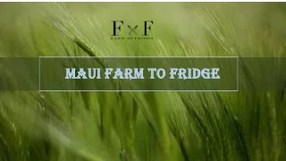 maui farm to fridge maui farm to fridge