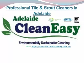 Why You Should Hire A Professional Tile And Grout Cleaner