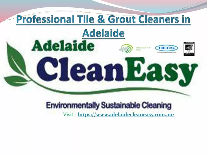 visit https www adelaidecleaneasy com au