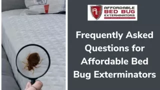 Frequently Asked Questions for Affordable Bed Bug Exterminators