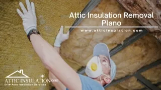 attic insulation removal plano