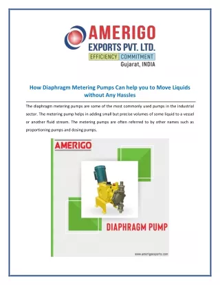 Diaphragm Metering Pump Manufacturers in India