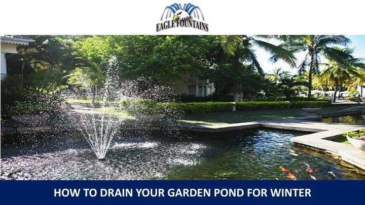 how to drain your garden pond for winter