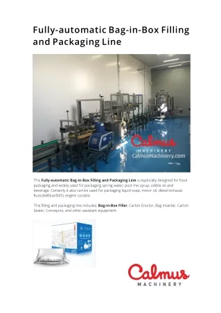 China-Bag-in-Box-Filling-Packaging-Line