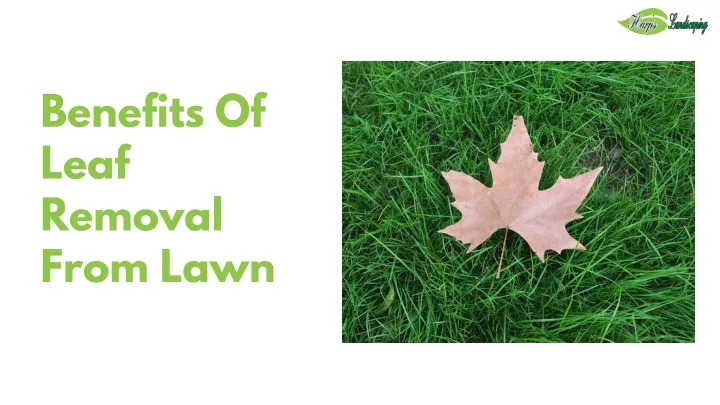 benefits of leaf removal from lawn