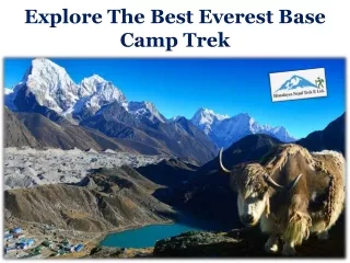 Explore The Best Everest Base Camp Trek
