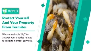 Protect Yourself And Your Property From Termites | We are available 24/7