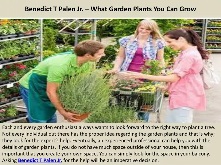 benedict t palen jr what garden plants you can grow