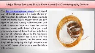 major things everyone should know about