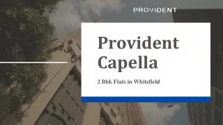 provident