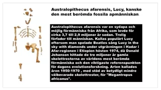 australopithecus afarensis lucy kanske den mest
