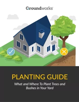 Planting Guide: What and Where To Plant Trees and Bushes in Your Yard