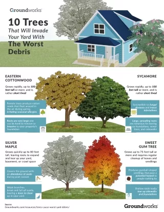 Here Are The Trees You Should Avoid If You Don’t Want Yard Debris