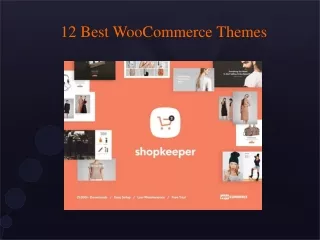 12 Best WooCommerce Themes 21