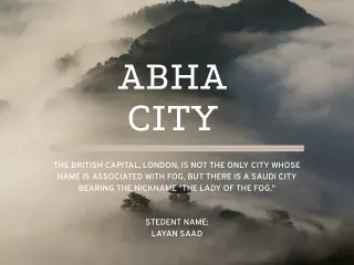 abha city