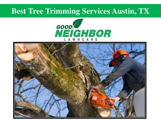 Best Tree Trimming Services Austin, TX