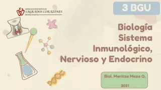3 bgu