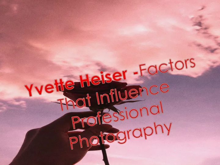 yvette heiser factors that influence professional