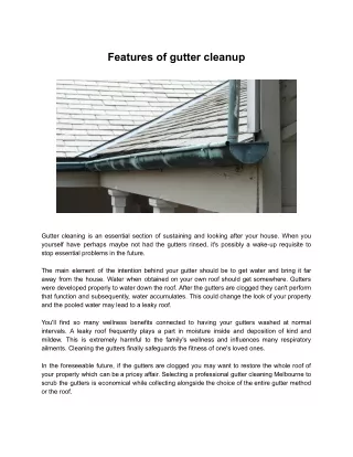 features of gutter cleanup