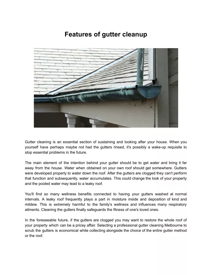features of gutter cleanup
