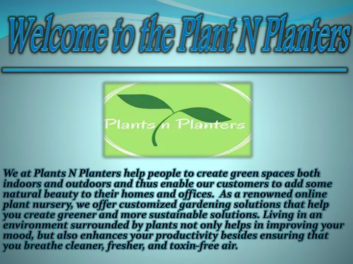 welcome to the plant n planters
