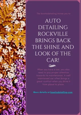 Auto Detailing Rockville Brings Back the Shine and Look of the Car!(1)
