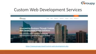 custom web development services