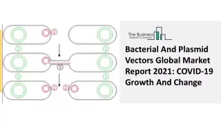 bacterial and plasmid vectors global market