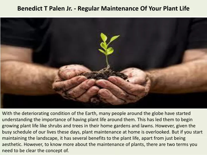 benedict t palen jr regular maintenance of your plant life