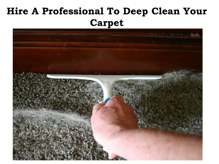 hire a professional to deep clean your carpet