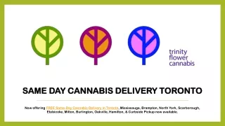 Same Day Cannabis Delivery Toronto