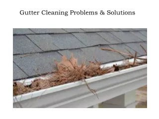 gutter cleaning problems solutions