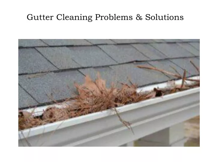 gutter cleaning problems solutions