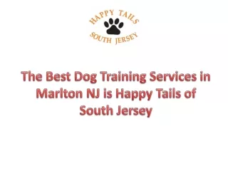 The Best and Professional Dog Training Services in Marlton NJ