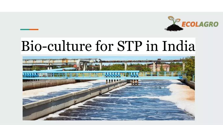 bio culture for stp in india