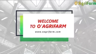 Obtain best quality soya at Affordable price at O'AgriFarm