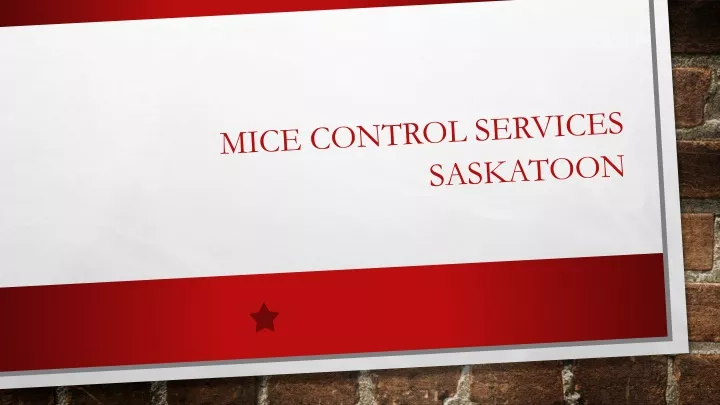 mice control services saskatoon