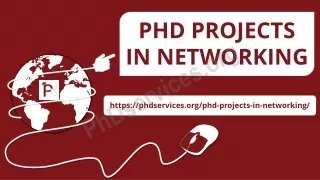 phd projects in networking