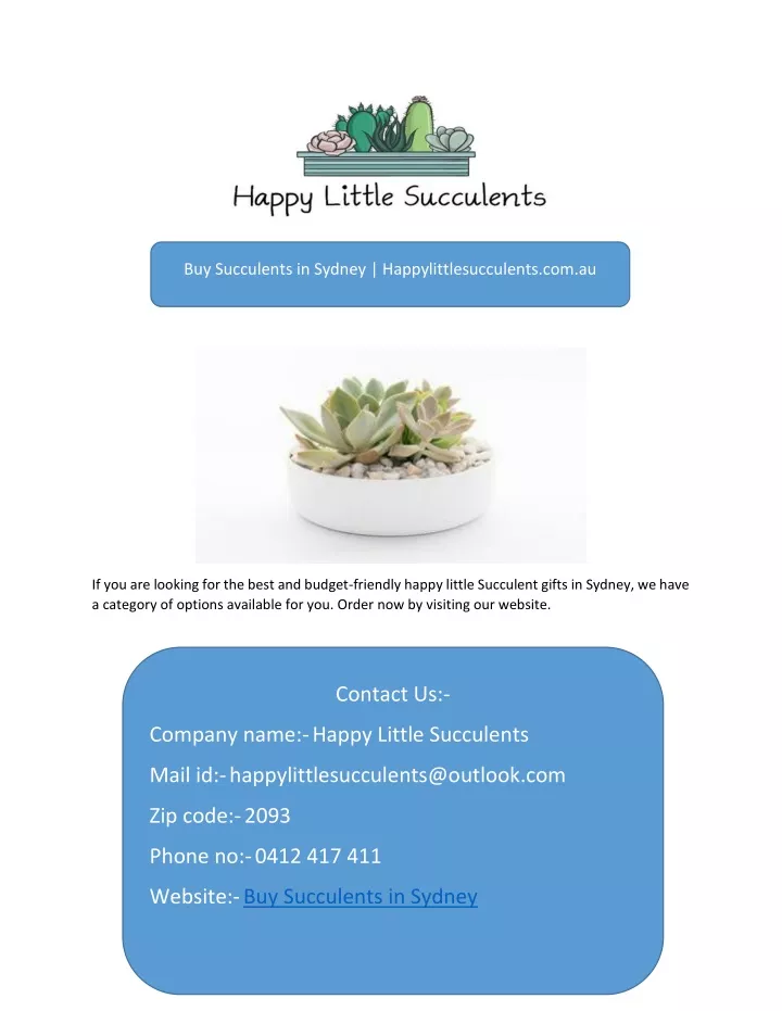 buy succulents in sydney happylittlesucculents