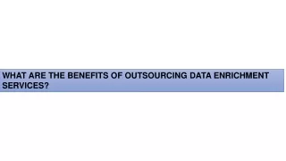 What are the benefits of outsourcing data enrichment services
